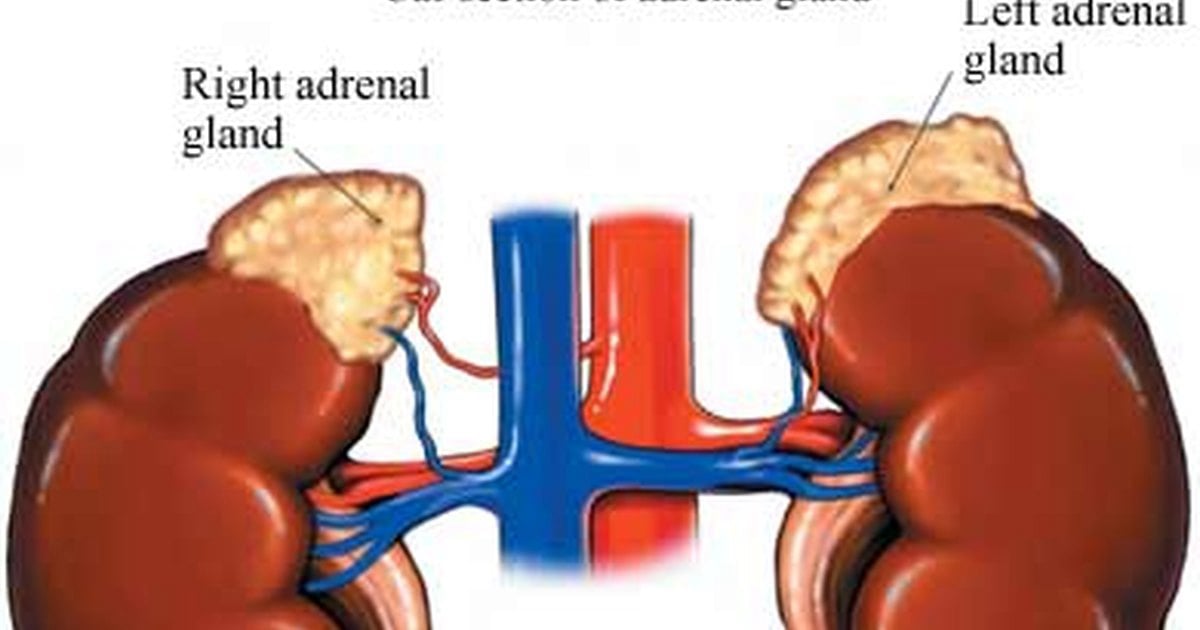 Παθήσεις Επινεφριδίων